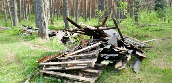 Debris Removal Service in Orland Park
